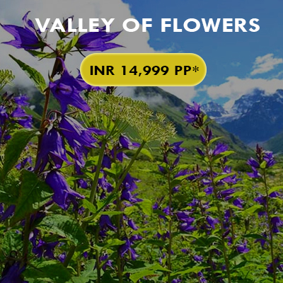 Valley of Flowers trekking package